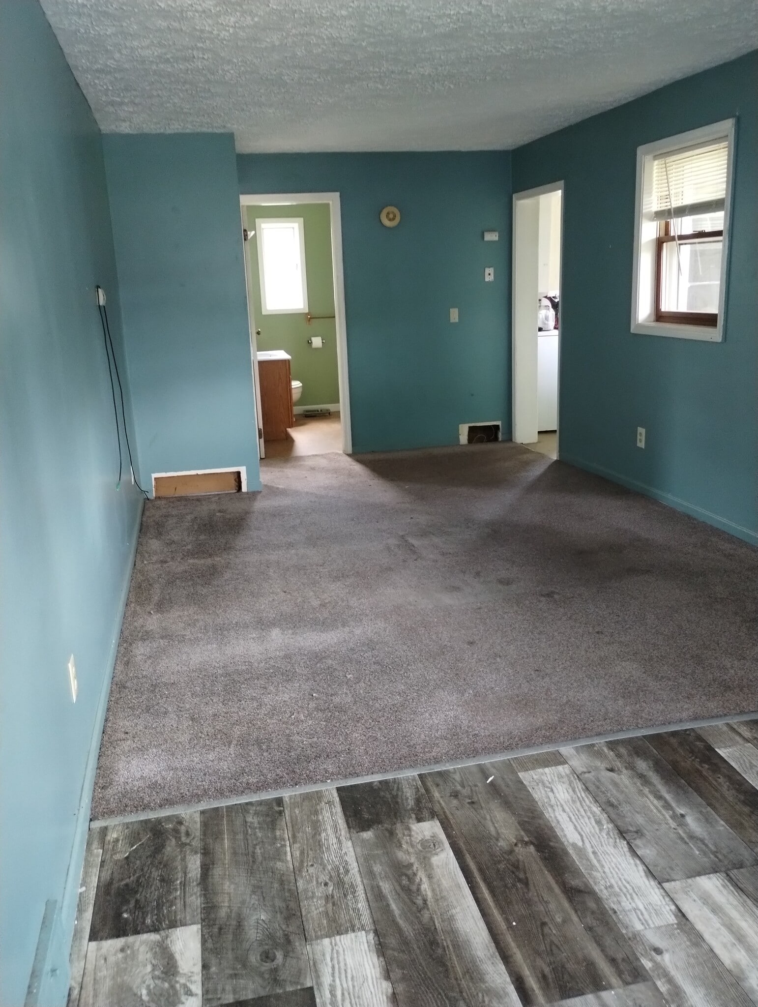 Living Room - 5025 Clinton Street Rd