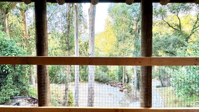 Building Photo - 615 Falls Dr