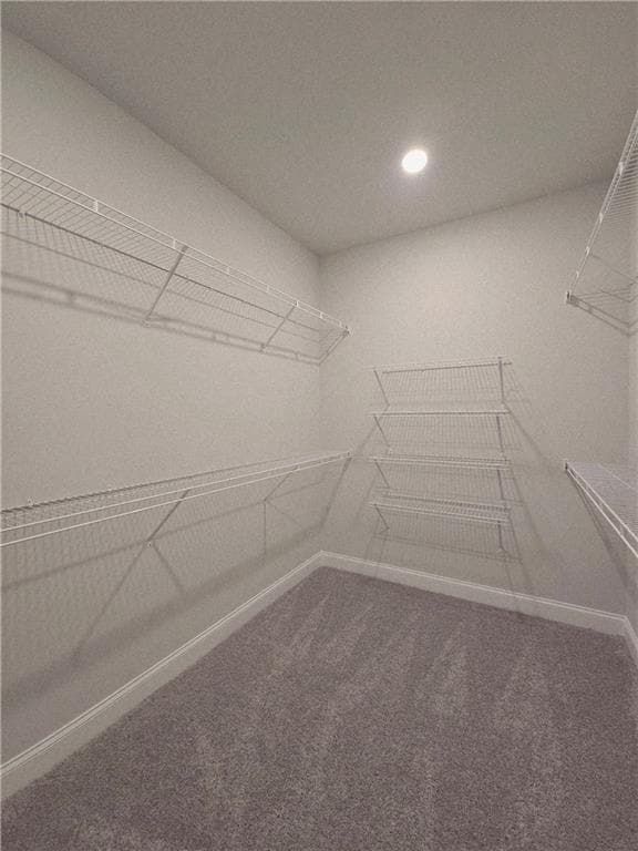 Building Photo - 163 Basil St