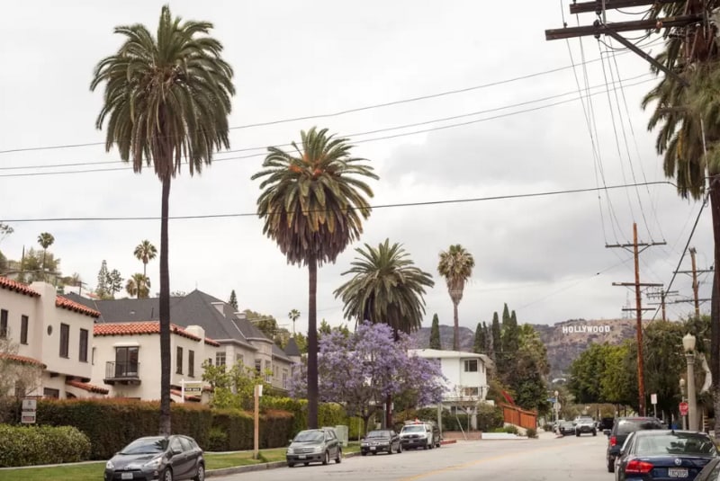 Building Photo - 2264 1/4 Beachwood Dr