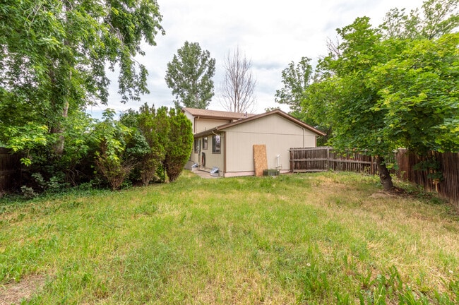 Building Photo - 6674 Braun Ct