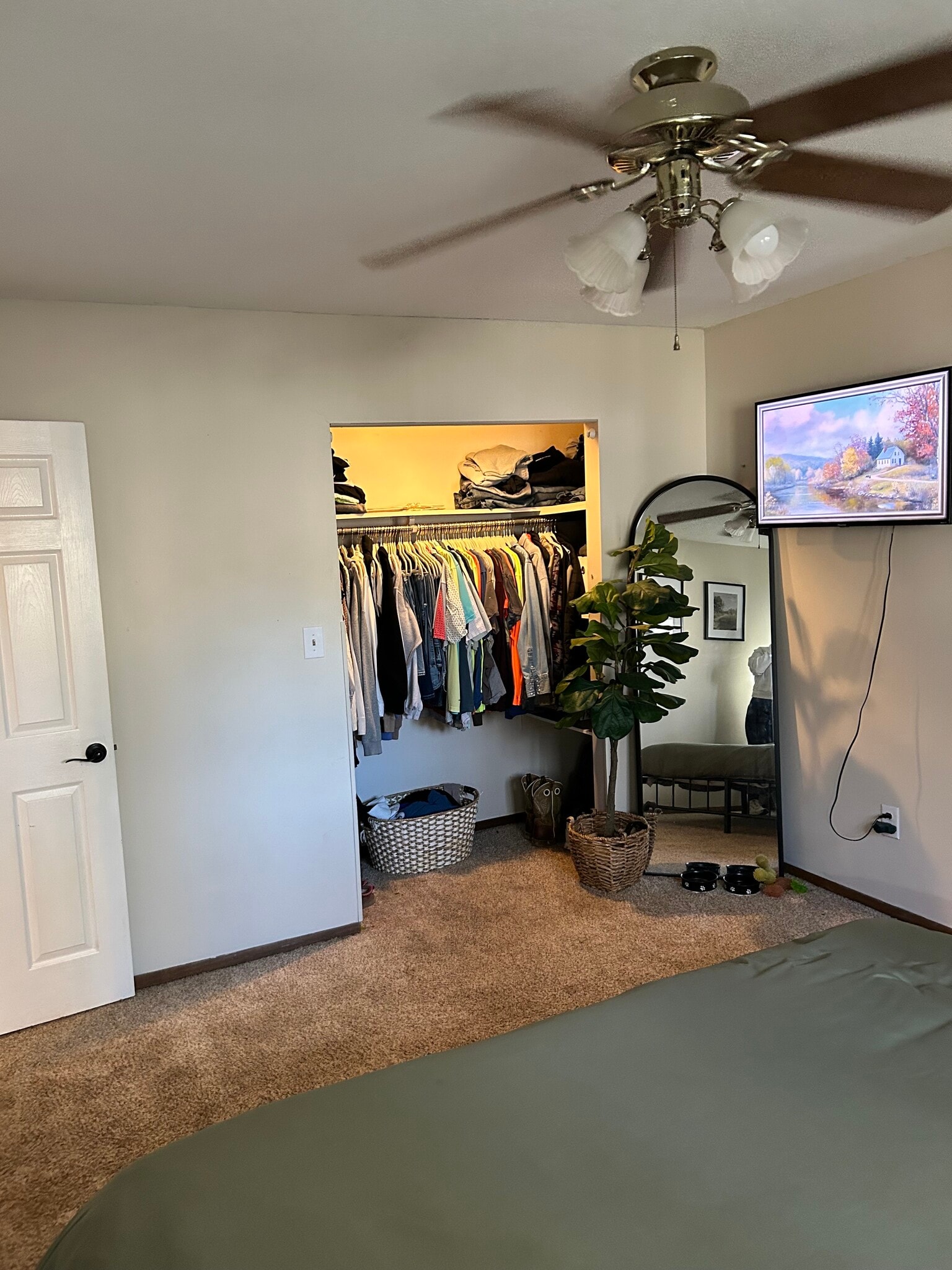 Building Photo - 702 S Taylor St