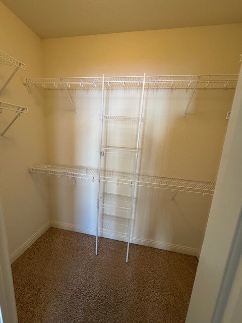 Walk In Closet 1 - 1815 Woodland Way