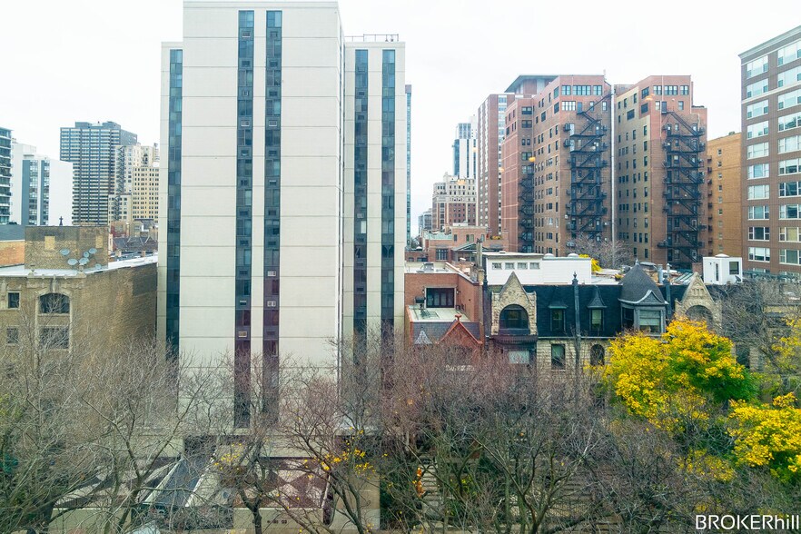 View - 1340 N Dearborn St