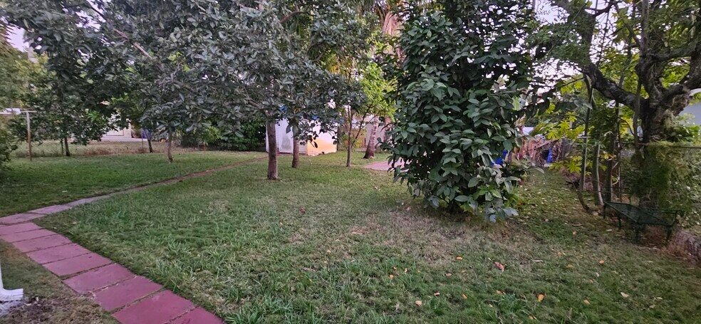 Back Yard - 1948 Roosevelt St