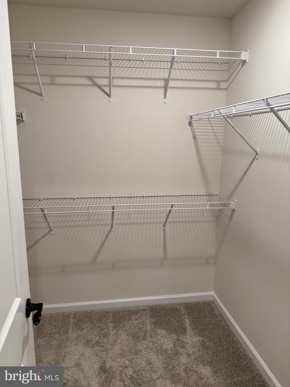 Building Photo - 344 Milton Stamp Dr