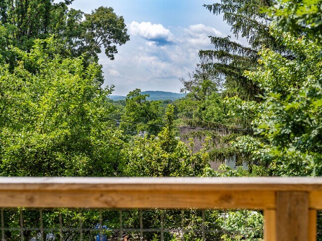 Building Photo - Asheville Rental!