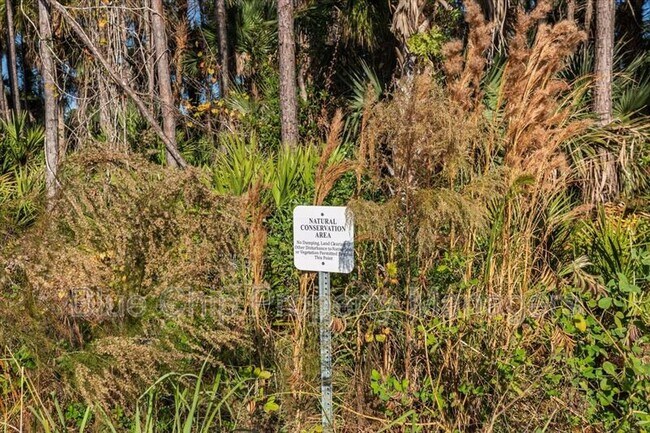 Building Photo - 1229 Pampus Dr