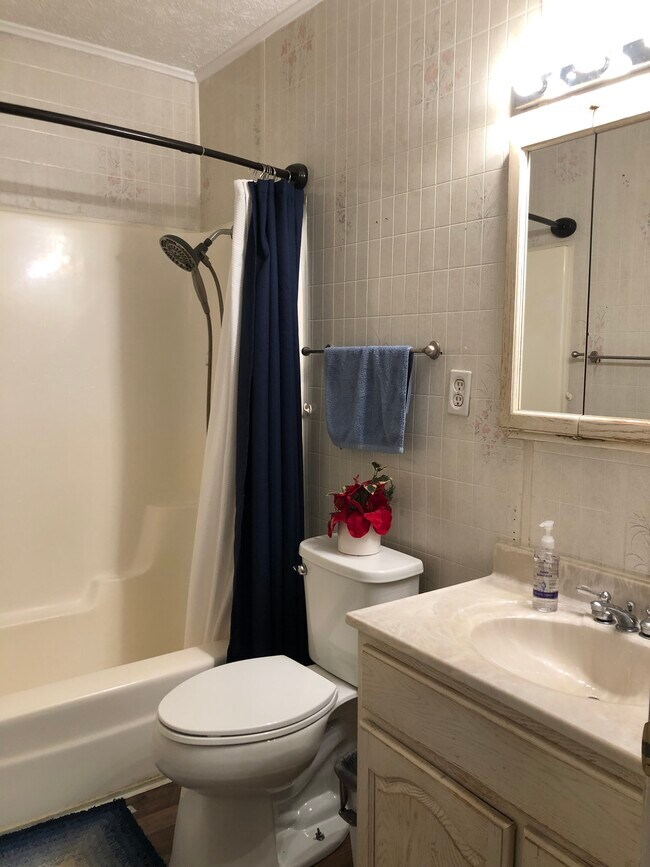 Upstairs Bathroom - 660 Black Bear Run Rd