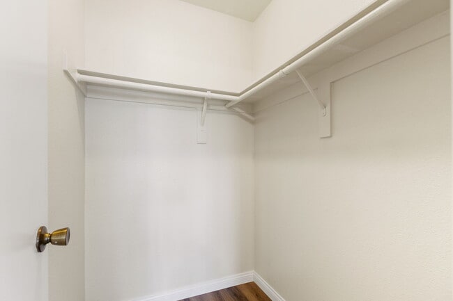Building Photo - 2625 Pirineos Way