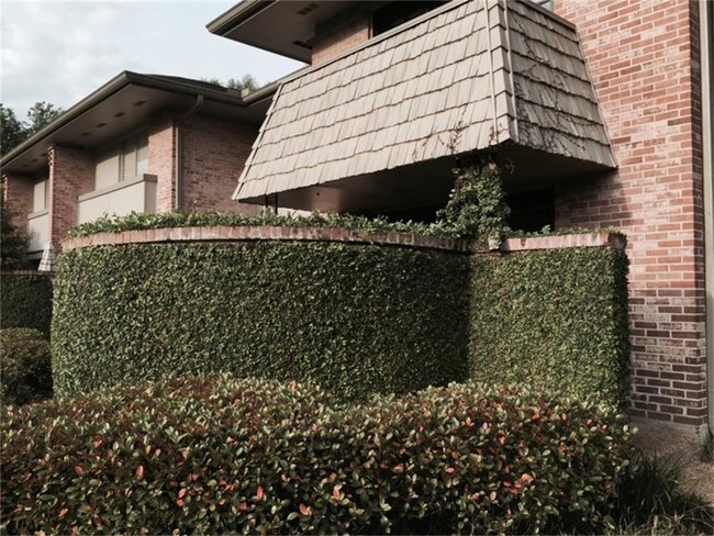 Building Photo - 668 S Ripple Creek Dr