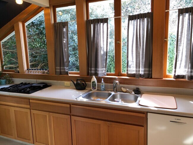 Kitchen Sink, Cooktop - 820 Palo Alto Ave