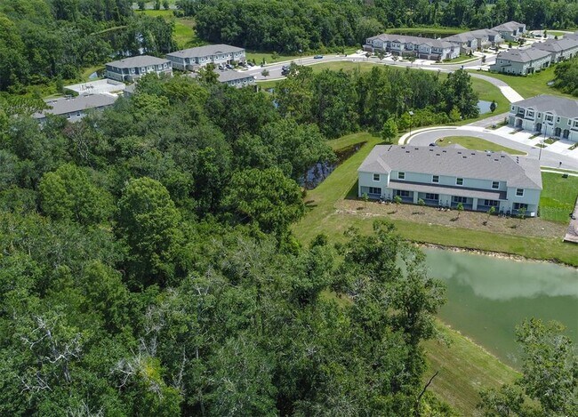 Building Photo - 11393 Velvet Apricot Dr