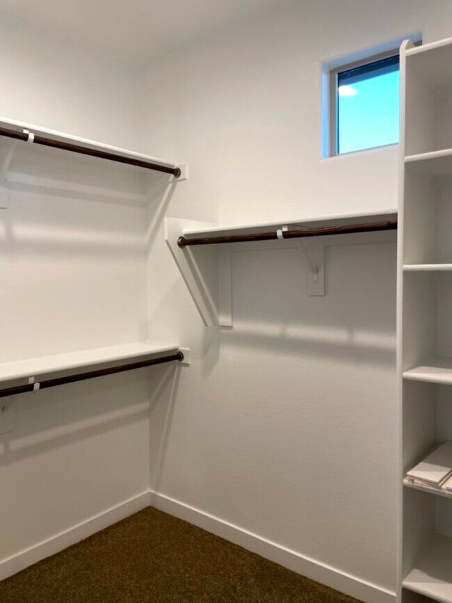 Master Bath Walk-in Closet - 4100 S Pinelake Way