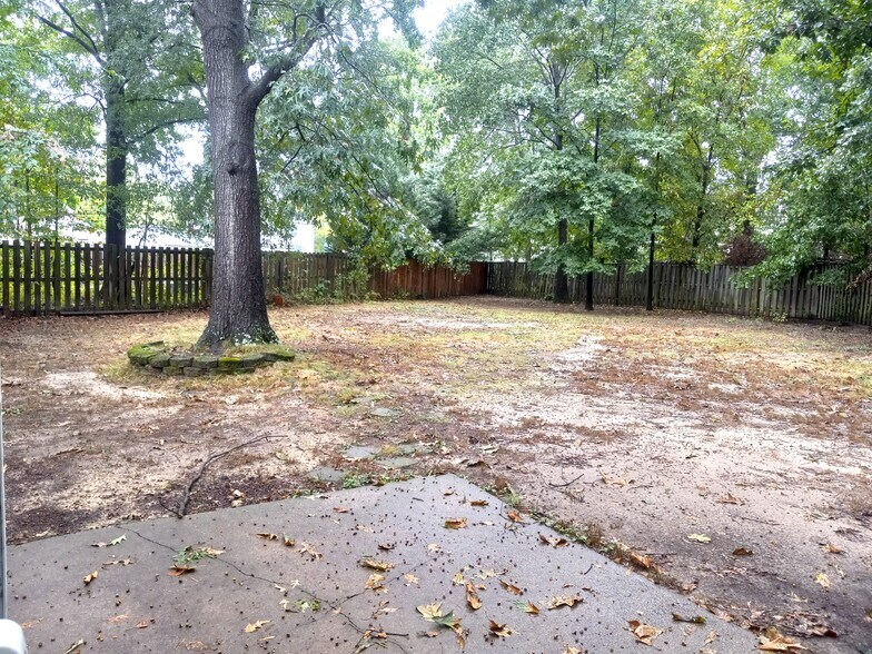 Backyard - 6146 Franconia Station Ln