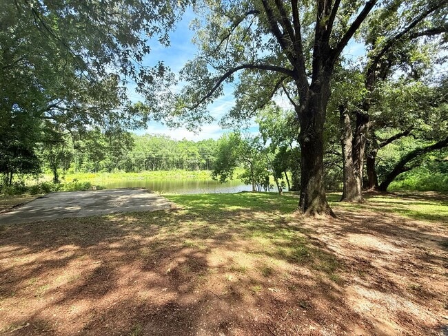 Building Photo - 3 Bed/1.5 Bath Home - Backyard Pond