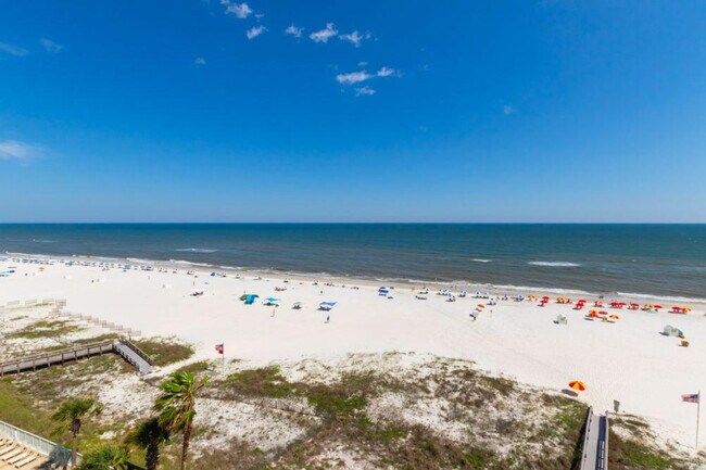 Building Photo - 24770 Perdido Beach Blvd