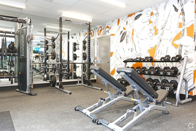 Interior Photo - Q19