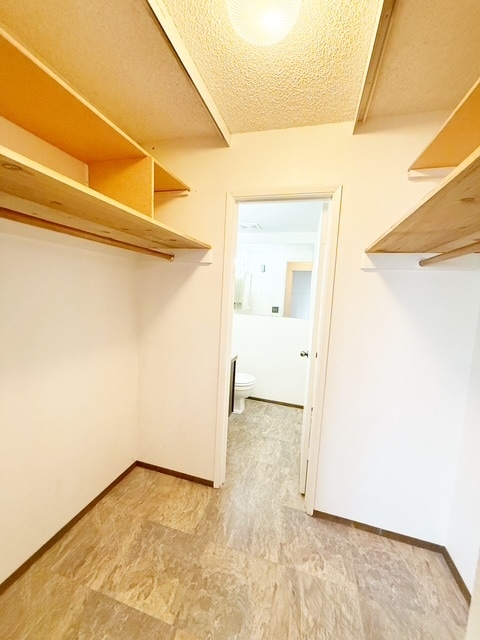 Building Photo - 924 Shorewood Dr