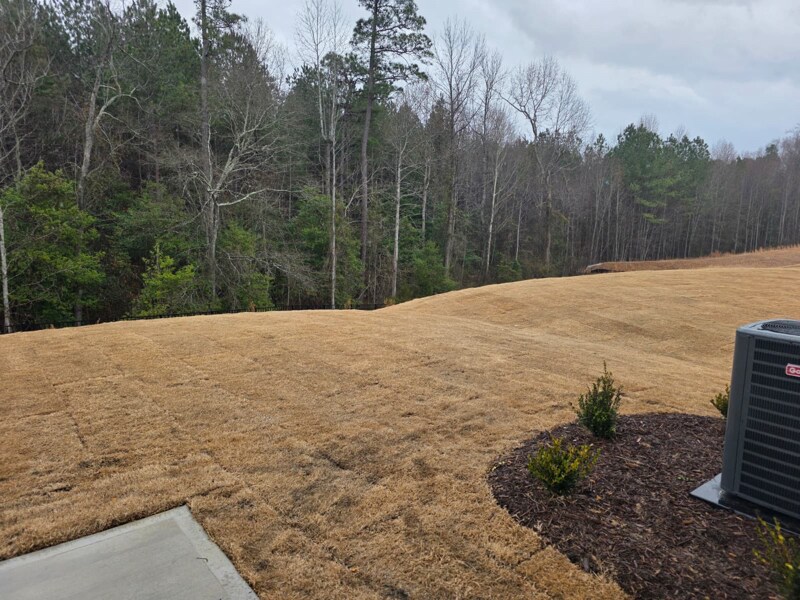 Building Photo - 528 Venetian Dr