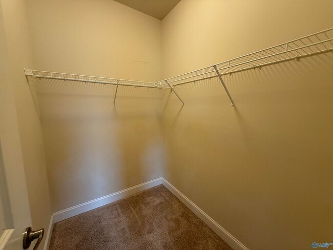 Building Photo - 24638 Rolling Vista Dr