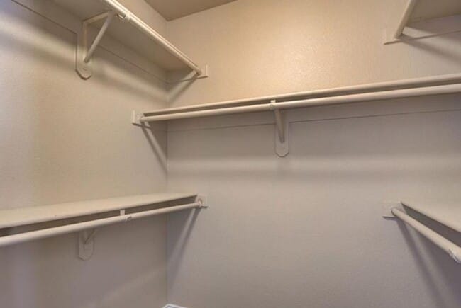 Building Photo - Single Story Gem!