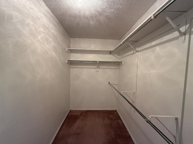 Building Photo - 7033 Snowy Owl St