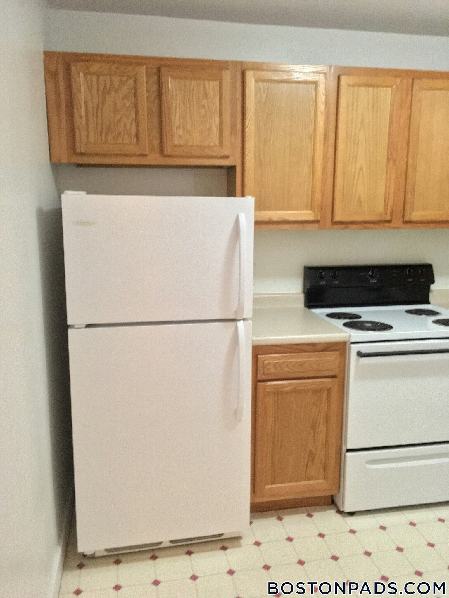 Building Photo - 312 Tappan St