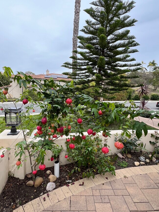 Building Photo - 11774 Evergold St