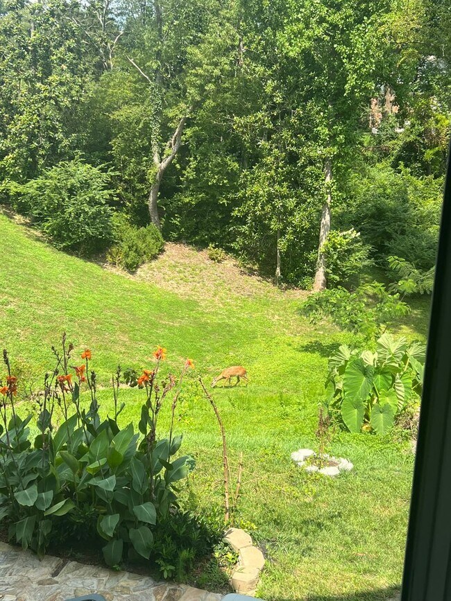 Building Photo - Large 3 Bedroom With Water Views