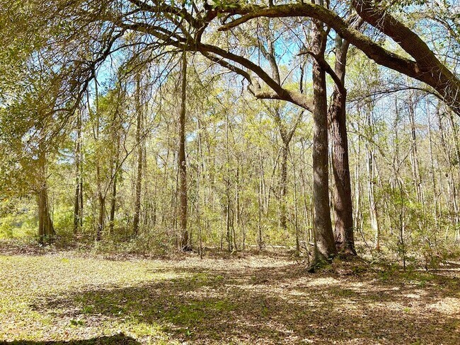 Building Photo - 2911 Maybry Dr