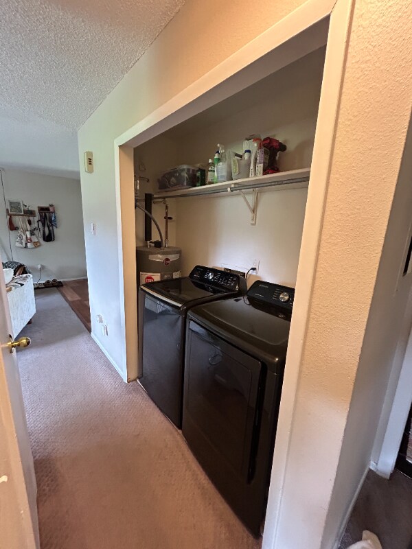 Building Photo - 1024 E Swallow Rd