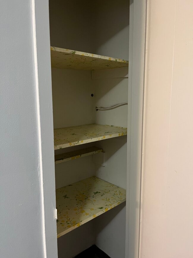 linen closet - 6 Bradley Ave