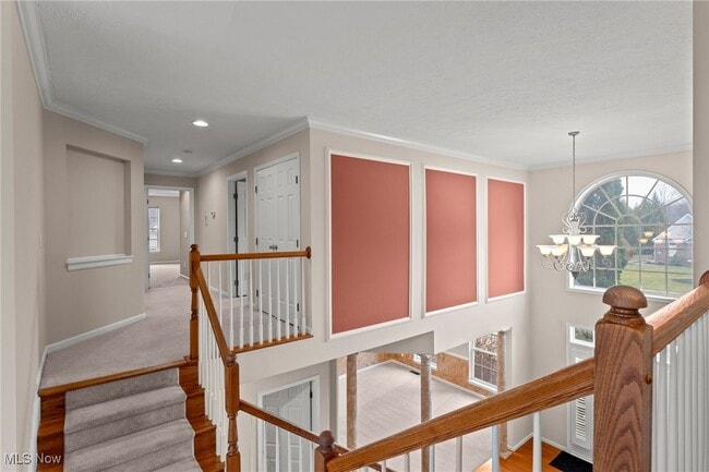 Building Photo - 7441 Scioto Ct