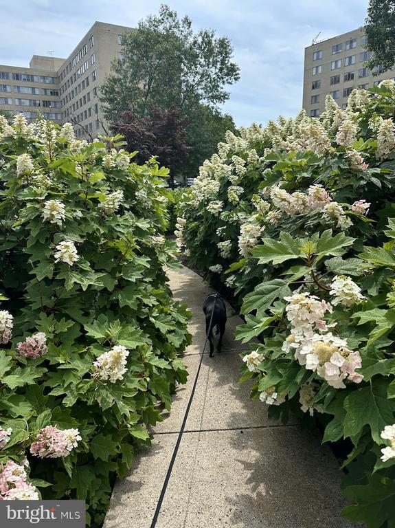 Building Photo - 6621 Wakefield Dr