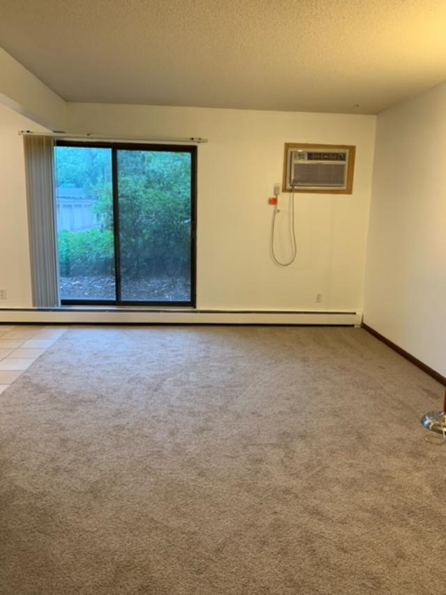 Living Room - 4508 Cedar Lake Rd S