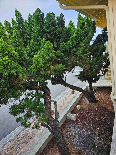 Building Photo - 5344 Malu Pl