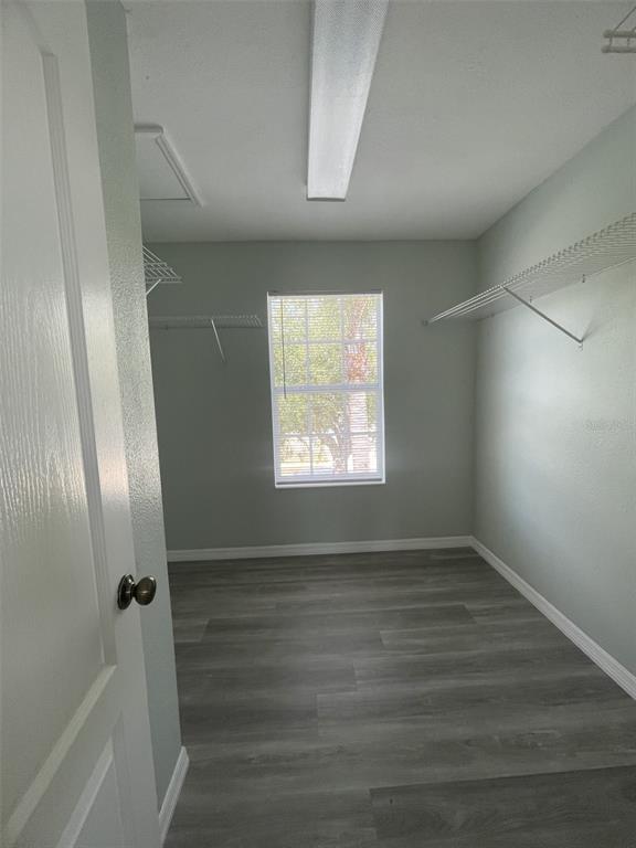 Building Photo - 2827 Suncoast Lakes Blvd