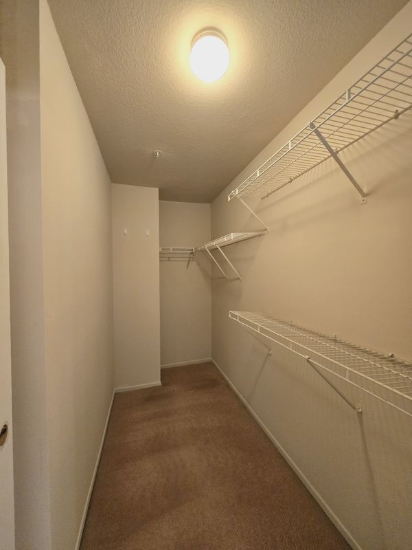Building Photo - 109 Breakers Ln