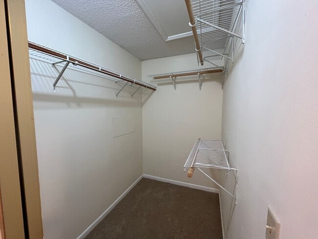 Building Photo - 135 Olive Tree Cir