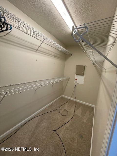 Building Photo - 4216 Crownwood Dr