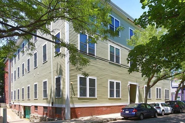 Primary Photo - 253 Norfolk St