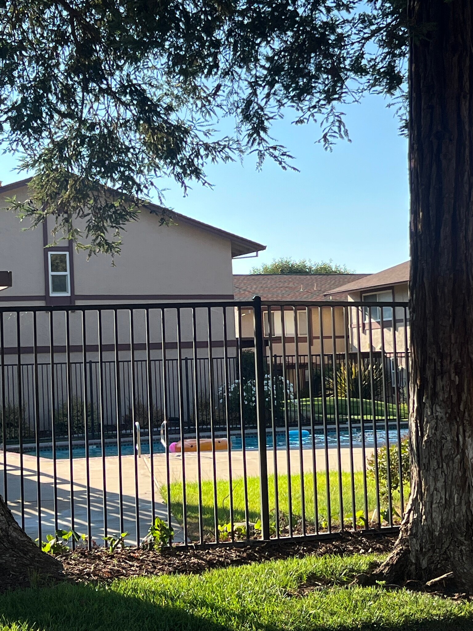 community pool - 1520 Parkwood Pl