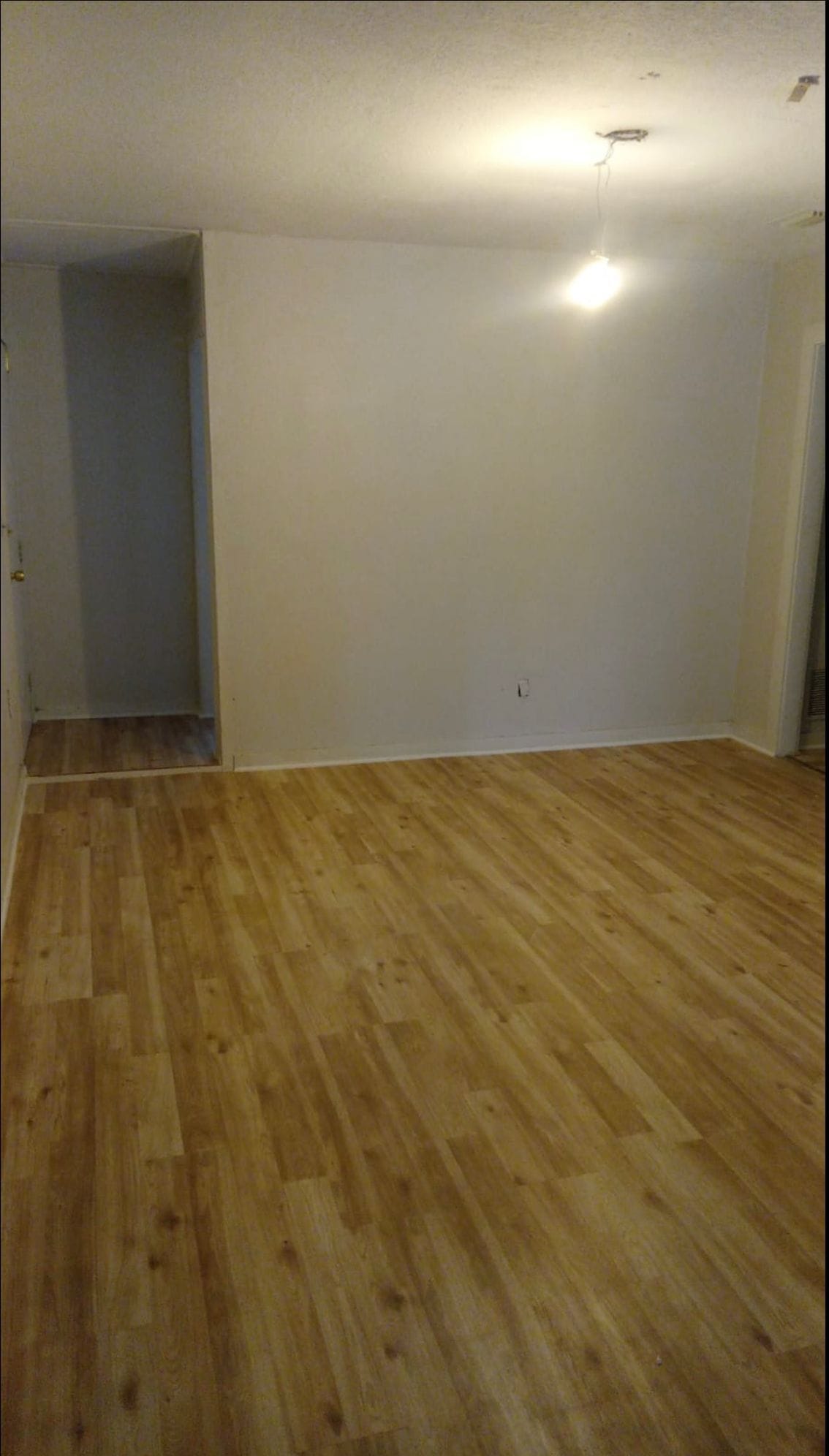 Building Photo - 1035 Maynard St