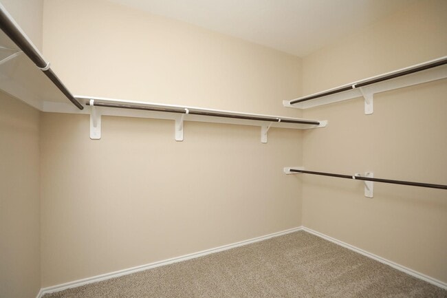 Building Photo - 3606 Carolina Canyon Ct