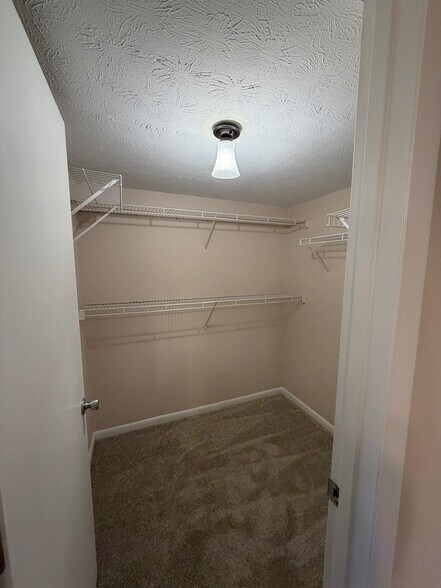 Master Walk in Closet - 533 Aspen Glen Dr