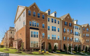 Building Photo - 42101 Piebald Square