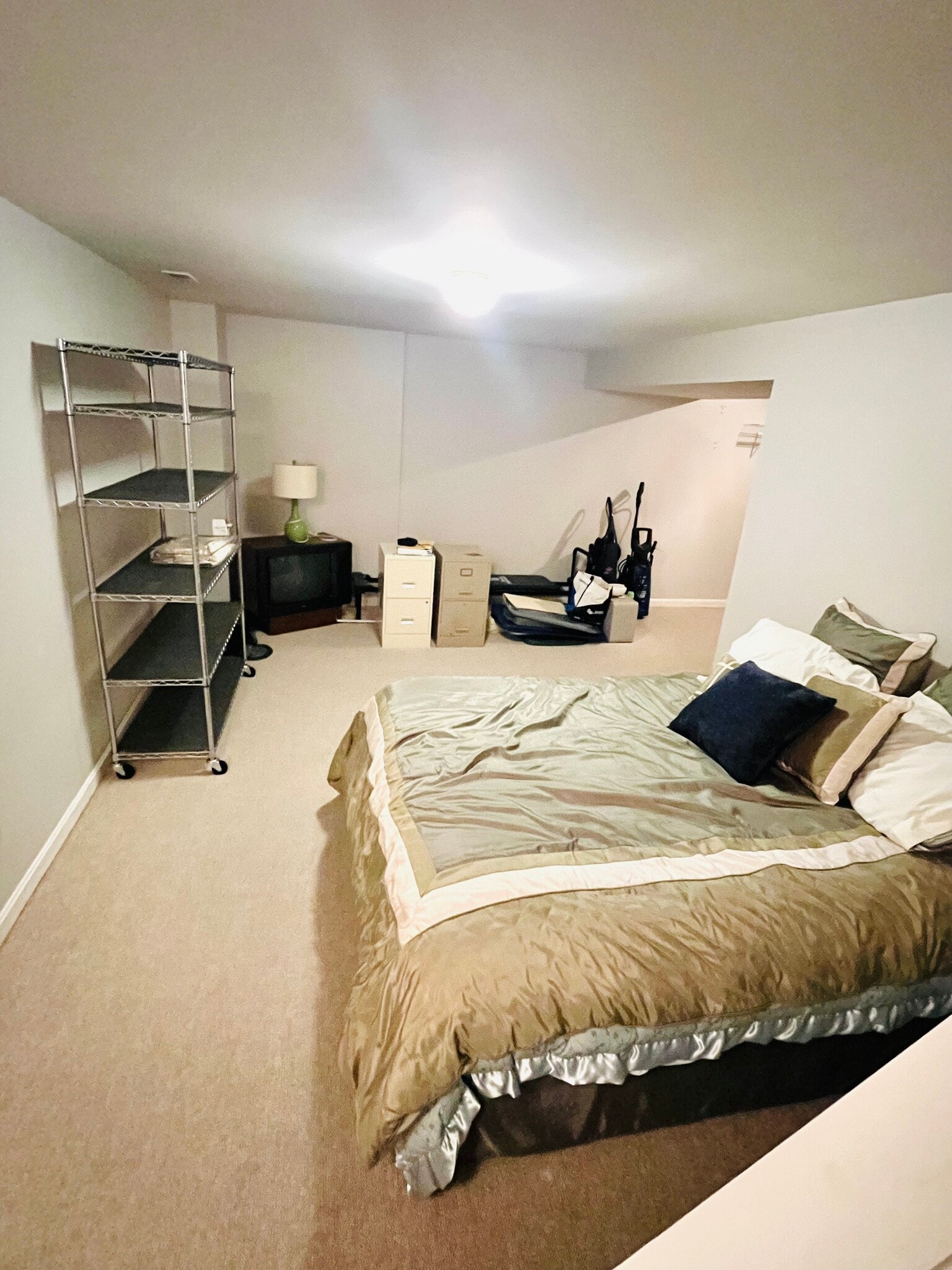 Bedroom 1 in basement - 141 Charleston Dr
