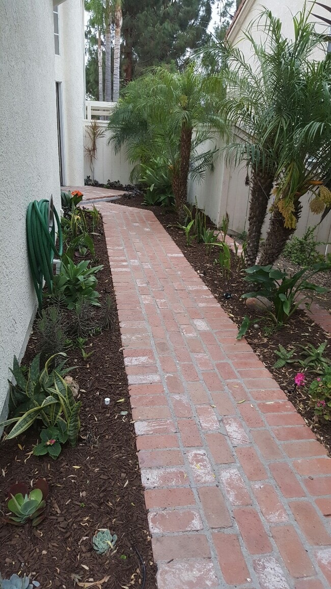 south side yard - 11431 Corte Playa Laguna