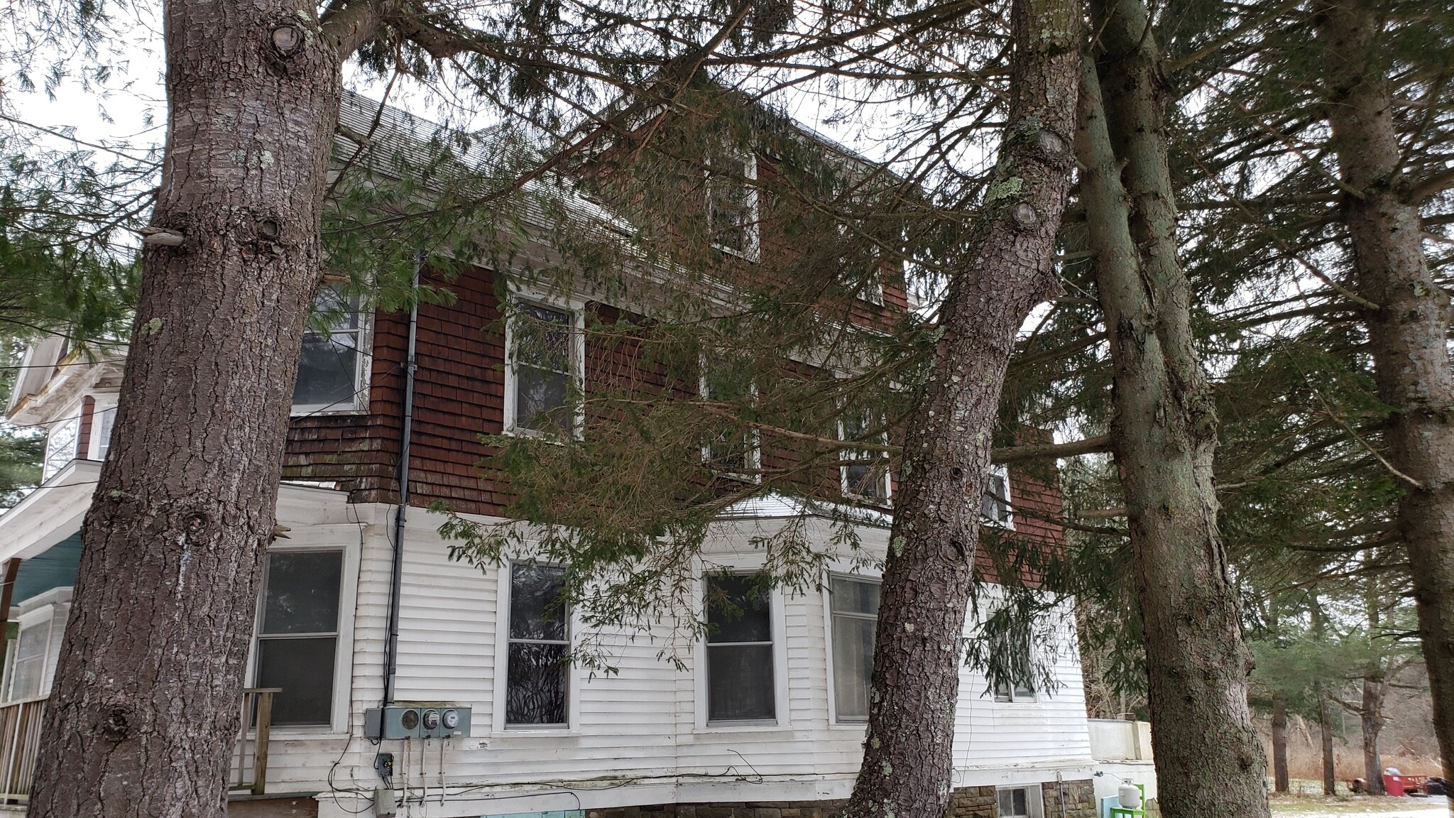 Row of Hemlocks grace house - 10 South St